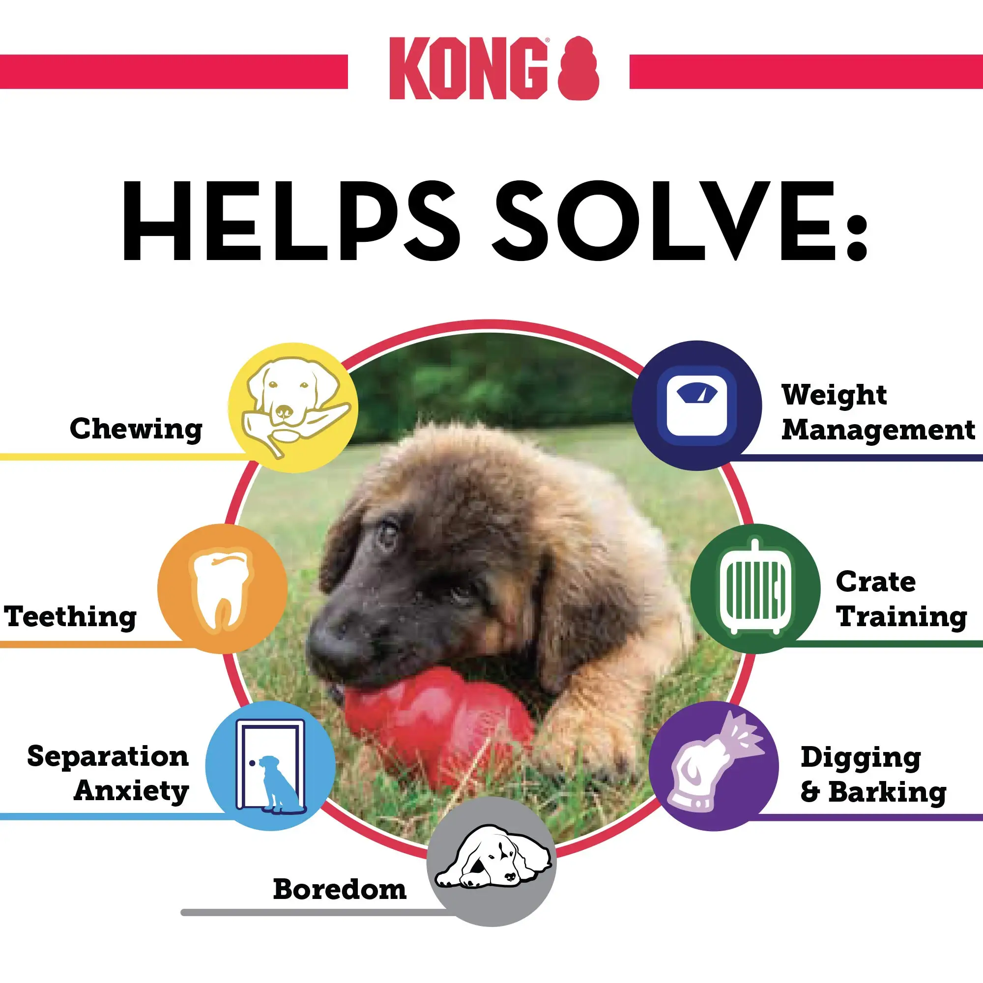 🦴 KONG Extrême – Jouet ultra résistant pour chiens de différente tailles - Image 6