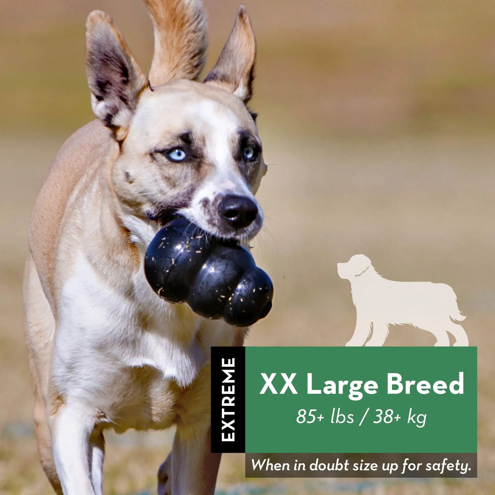 🦴 KONG Extrême – Jouet ultra résistant pour chiens de différente tailles - Image 2