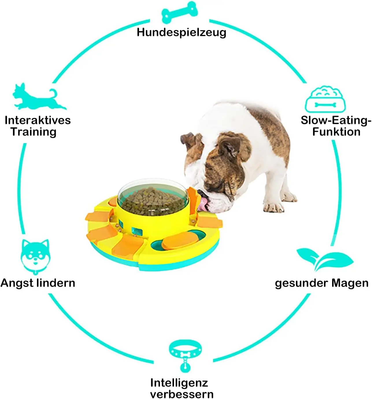 🧩 Puzzle interactif anti-glouton pour chien - Image 3