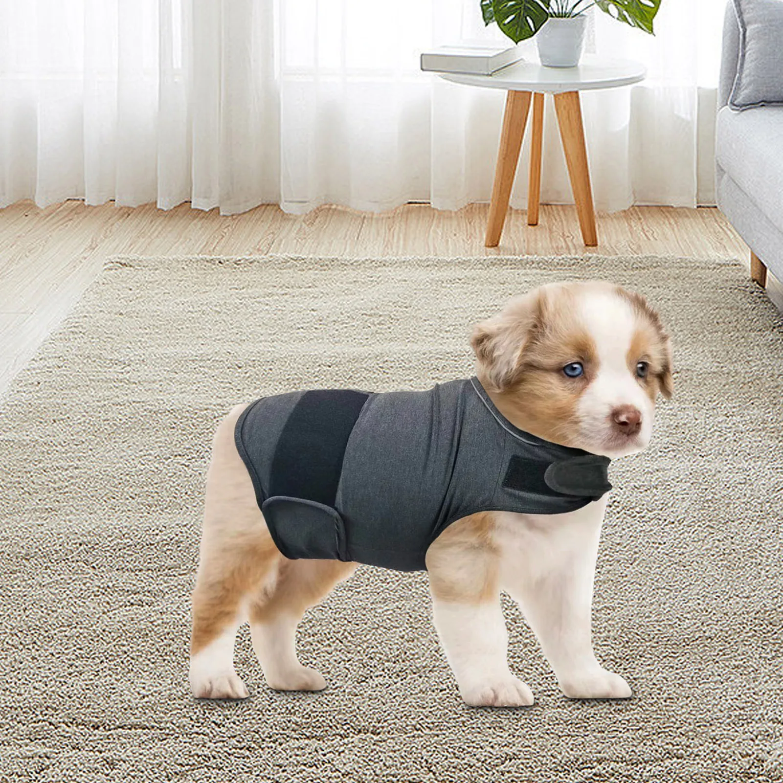 Veste Anti-stress PuppyZen classique - Image 4