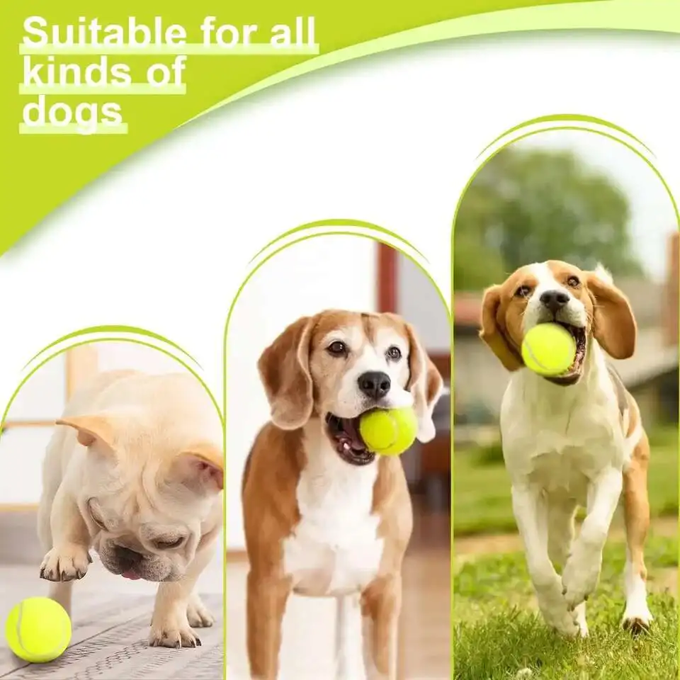 🎾 Lanceur de balles interactif automatique pour chien - Image 5